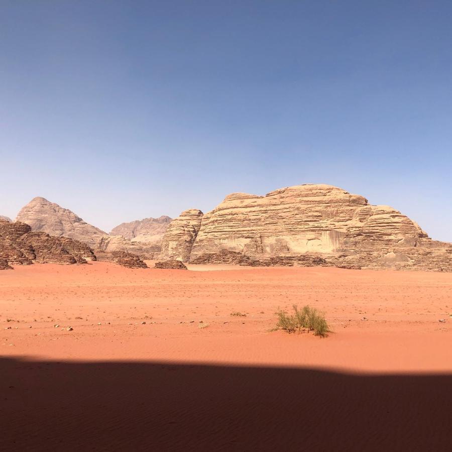 Star Guide Luxury Camp Hotel Wadi Rum Eksteriør billede